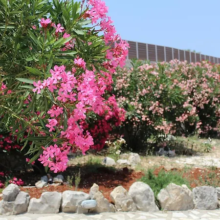 Il Sogno Di Zante Villa Skinária